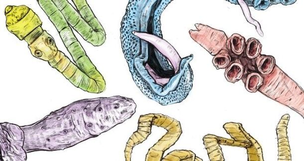 İnsan vücudundaki parazitler